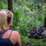 4-Day Rwanda Gorillas & Chimps Tracking Tour