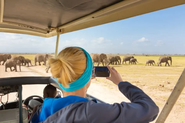 6-Day Kenya Wildlife Safari Holiday Itinerary 6-Day Kenya Wildlife Safari Holiday Itinerary