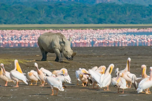 Lake Nakuru National Park
