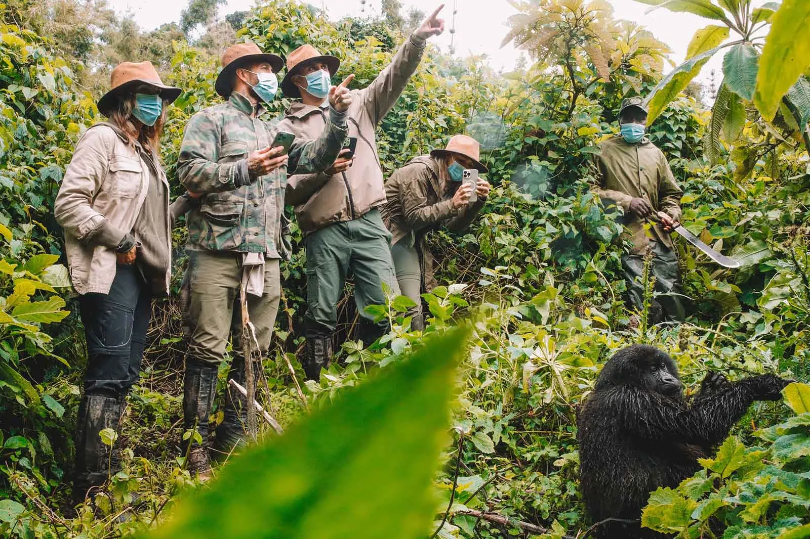 Rwanda Gorilla Safaris