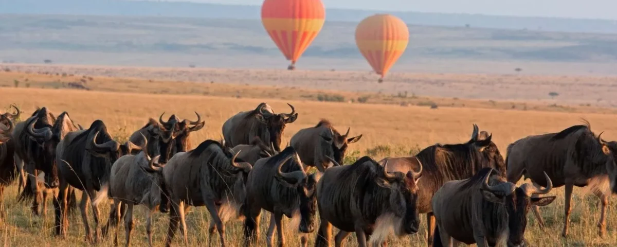 Kenya Hot Air Balloon