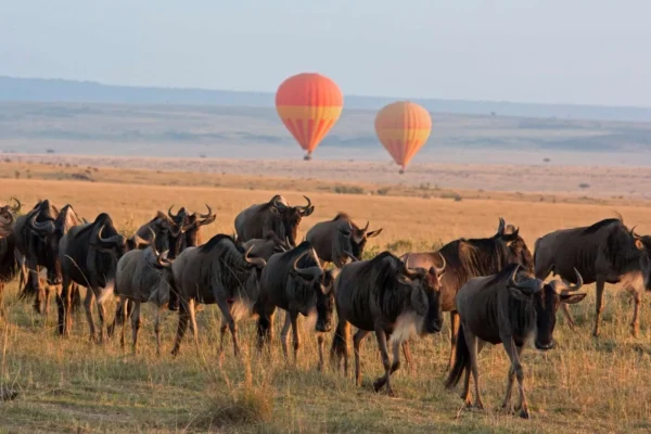 Kenya Hot Air Balloon